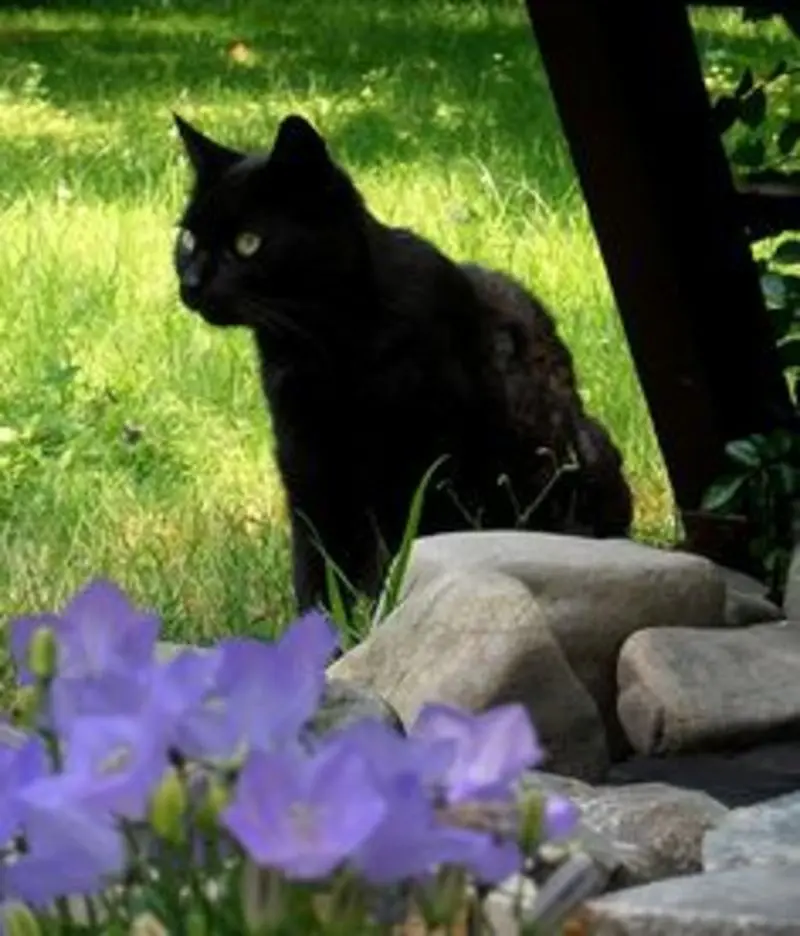 Condolence image of Tanja mit Timmy im Herzen 