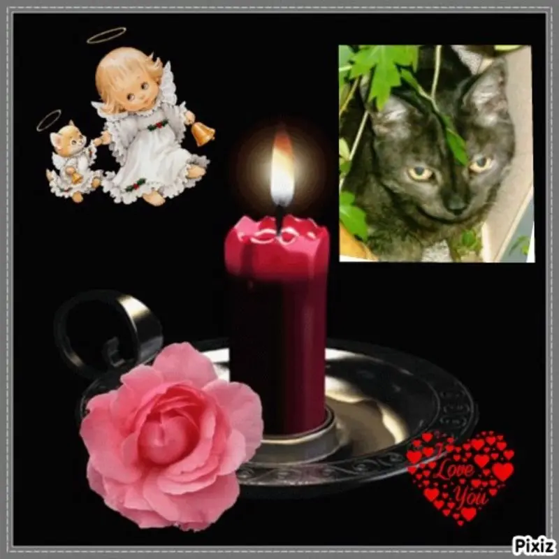 Condolence image of Jutta mit Purzel tief im Herzen✟08.05.2016 
