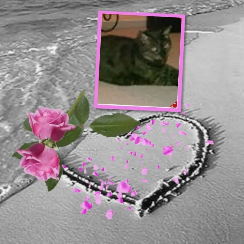Condolence image of ❤️❤️❤️❤️❤️❤️❤️❤️❤️❤️❤️❤️❤️❤️
