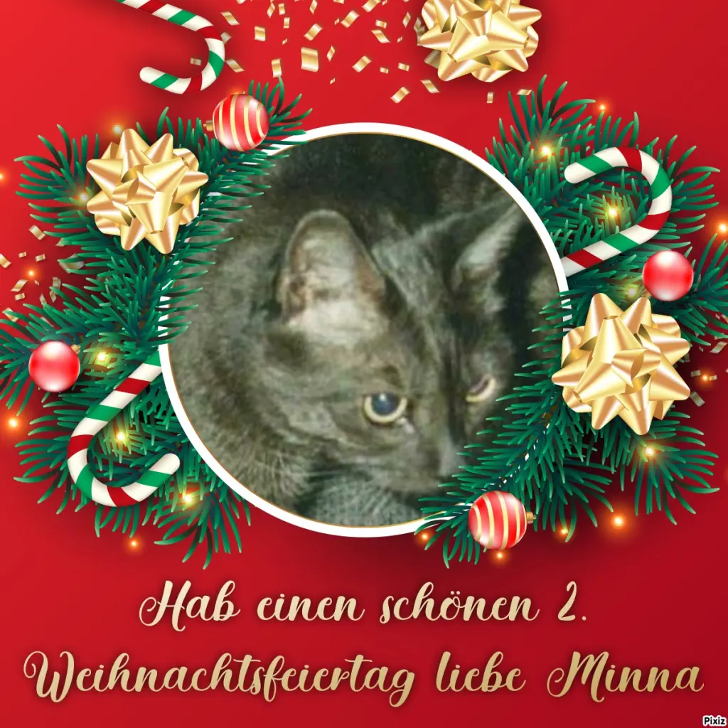 Condolence image of Tanja mit Timmy im Herzen 