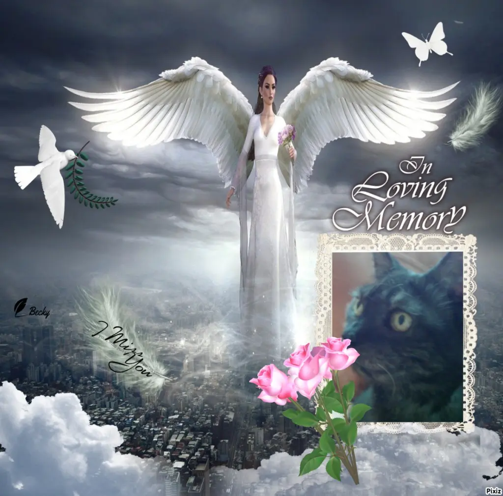 Condolence image of Tanja mit Timmy im Herzen 