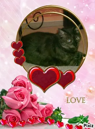 Condolence image of Tanja mit Timmy im Herzen 