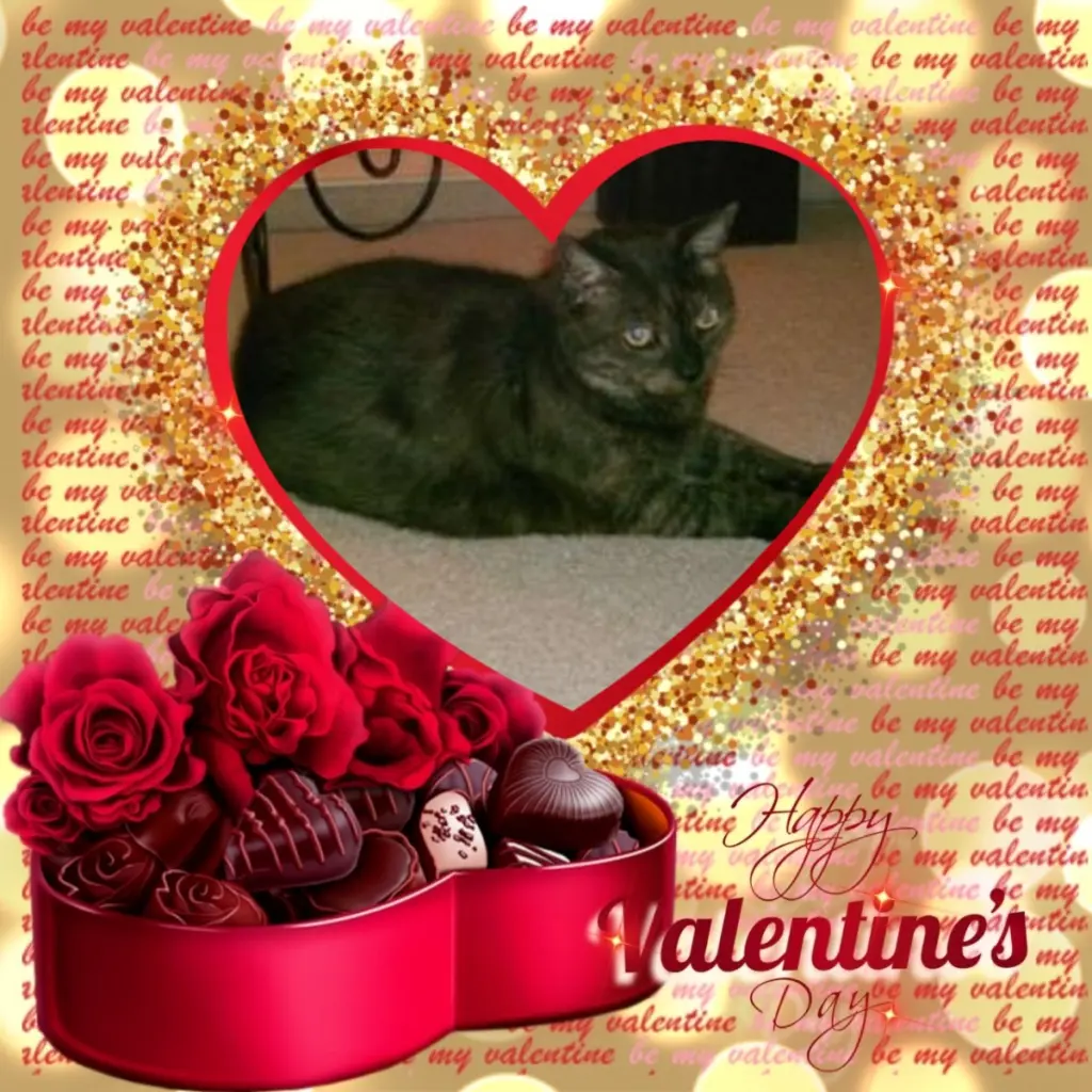 Condolence image of Valentins❤️Rosen❤️❤️❤️❤️❤️❤️❤️❤️