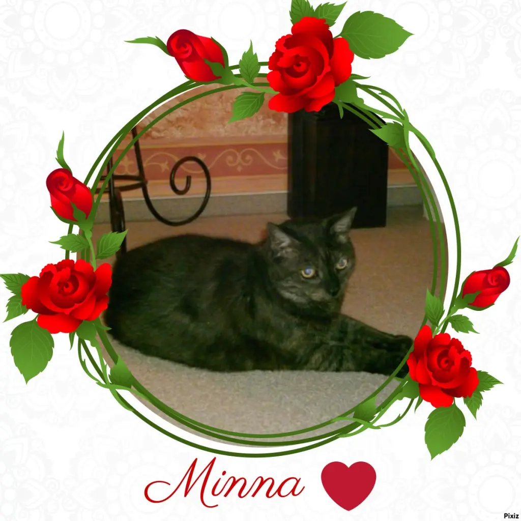 Condolence image of Tanja mit Timmy im Herzen 