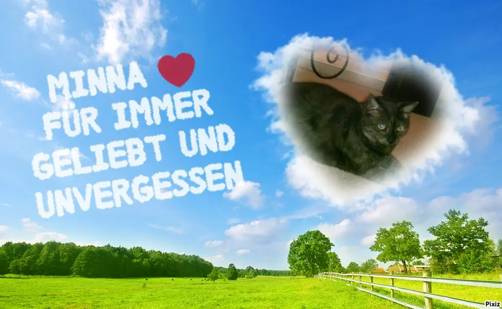 Condolence image of Tanja mit Timmy im Herzen 