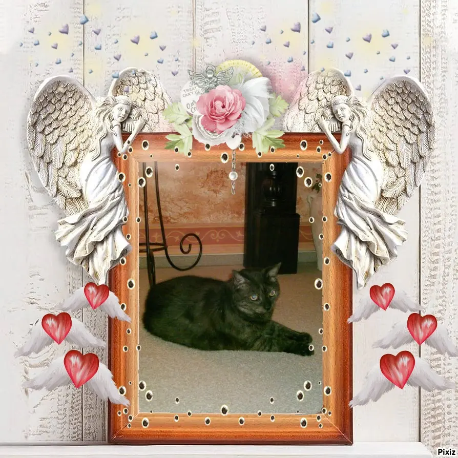 Condolence image of Tanja mit Timmy im Herzen 