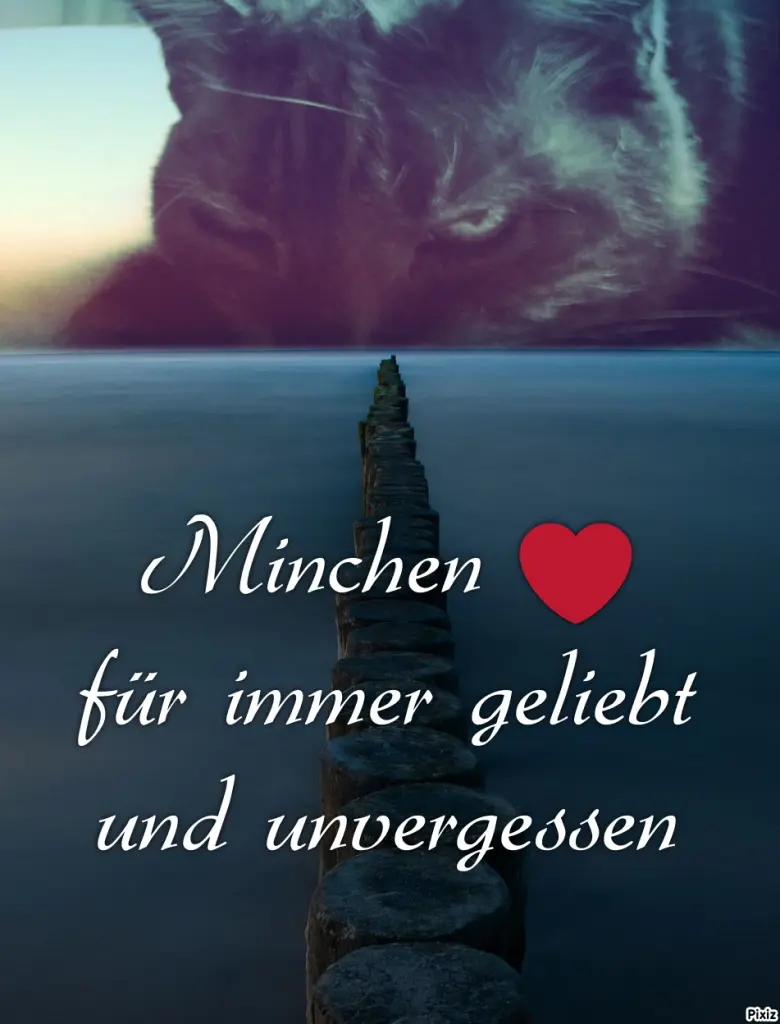 Condolence image of Tanja mit Timmy im Herzen 