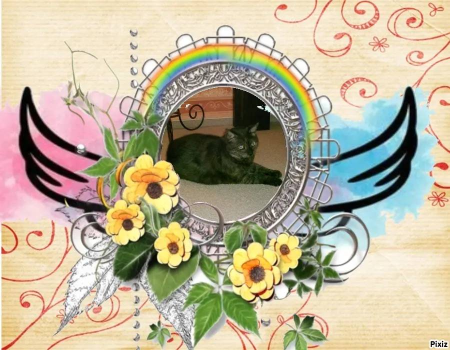 Condolence image of Tanja mit Timmy im Herzen 