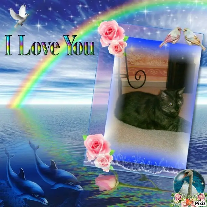 Condolence image of Tanja mit Timmy im Herzen 