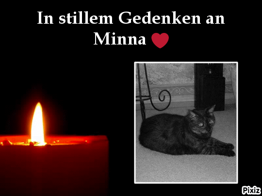 Condolence image of Tanja mit Timmy im Herzen 