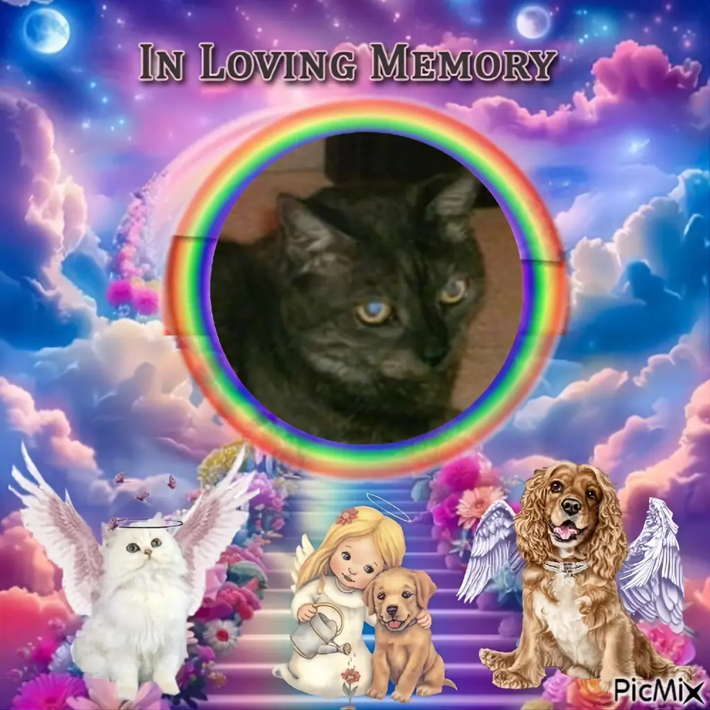 Condolence image of ❤️❤️❤️❤️❤️❤️❤️❤️❤️❤️❤️❤️