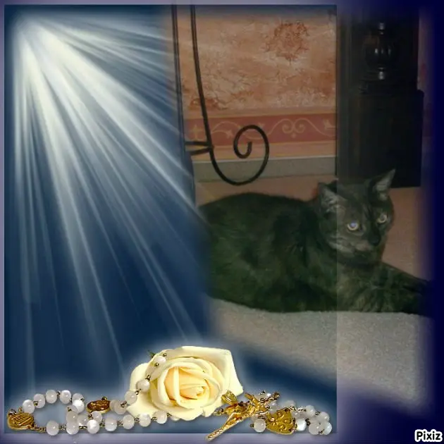 Condolence image of Tanja mit Timmy im Herzen 