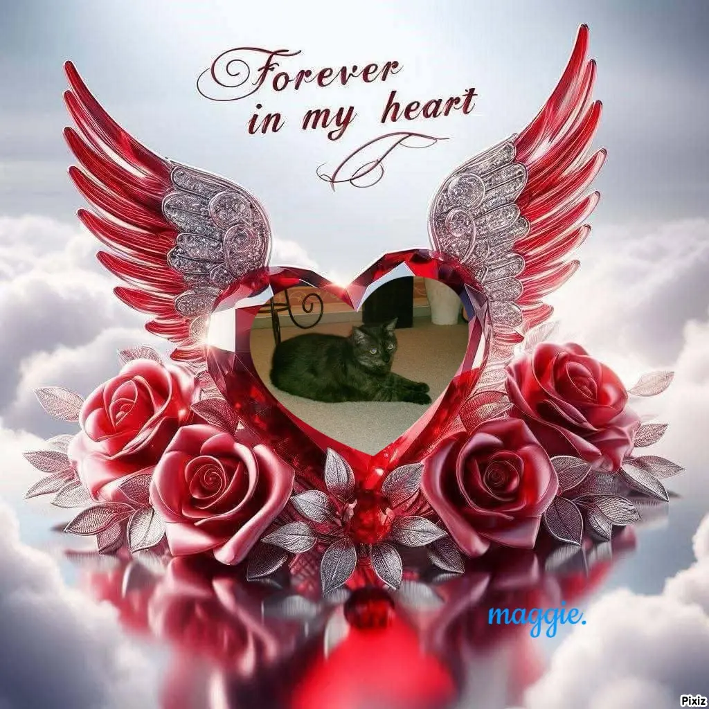 Condolence image of Tanja mit Timmy im Herzen 