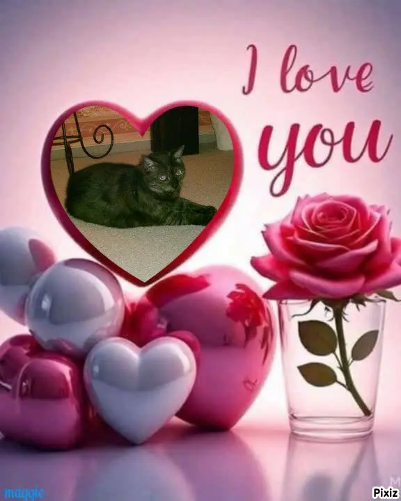 Condolence image of Tanja mit Timmy im Herzen 