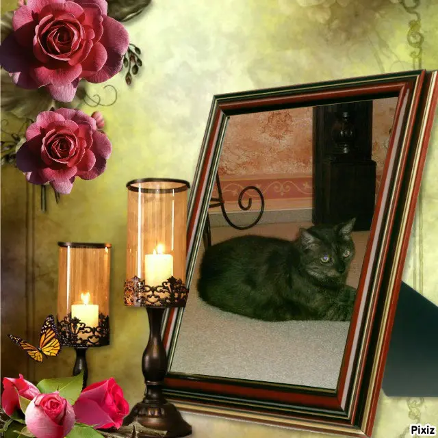 Condolence image of Tanja mit Timmy im Herzen 