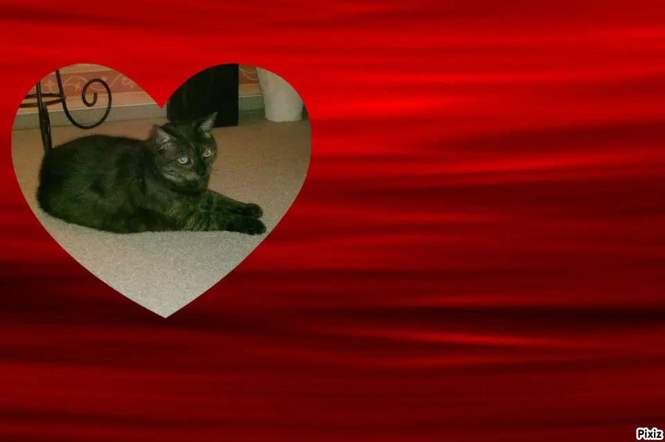 Condolence image of Tanja mit Timmy im 💘