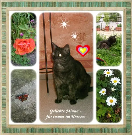 Condolence image of Deine Ilse in Liebe zum 209. Monatsgedenken