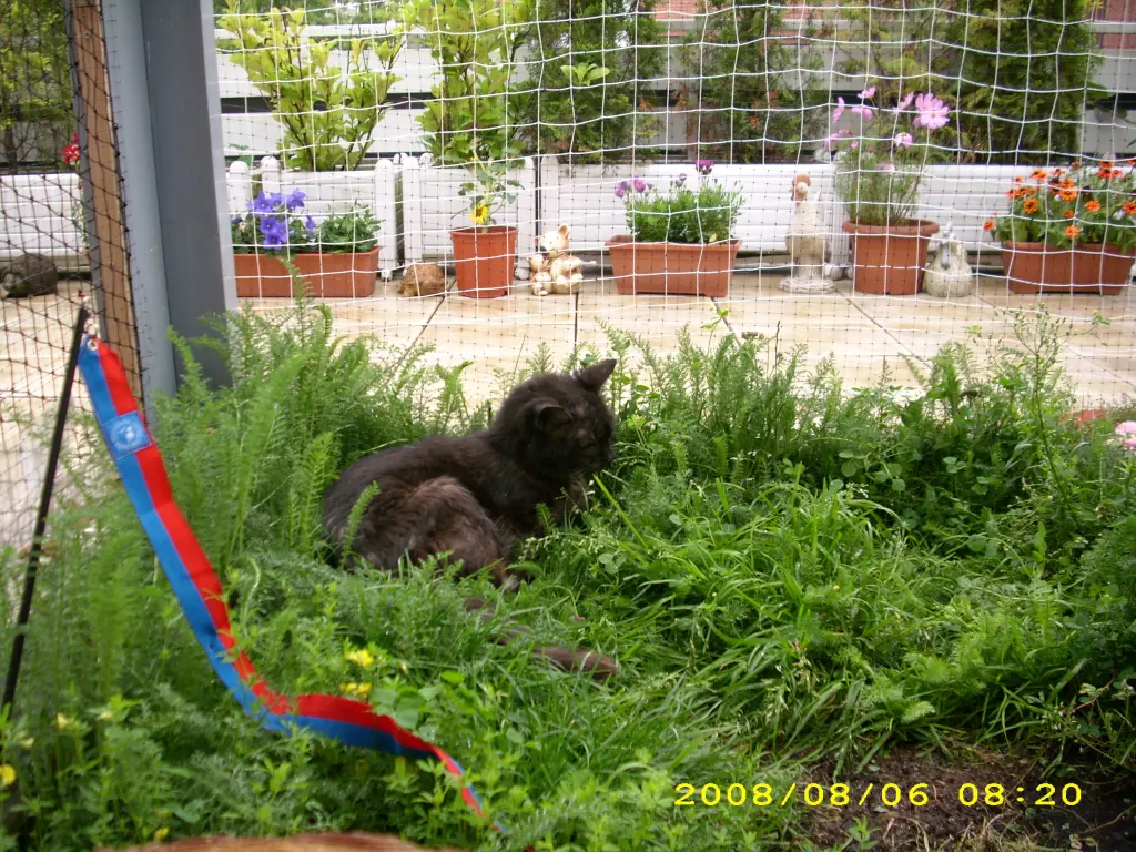 Image from Minna