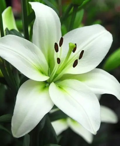 Andachtsbild von Nicole Seydel