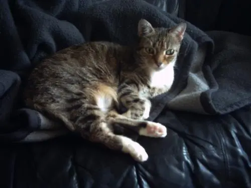 Image from MINKE   (ehemals Puschkin)