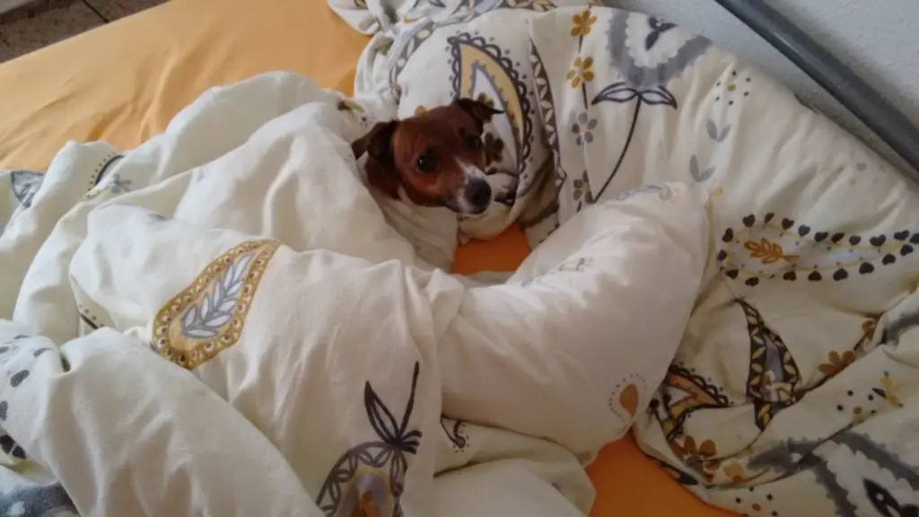 Andachtsbild von Natalie mit Maggy