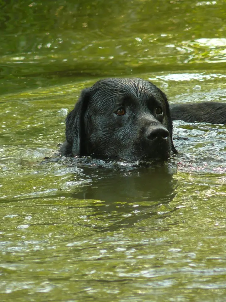 Andachtsbild von  Thomas, Katja und Aeneas tief im Herzen