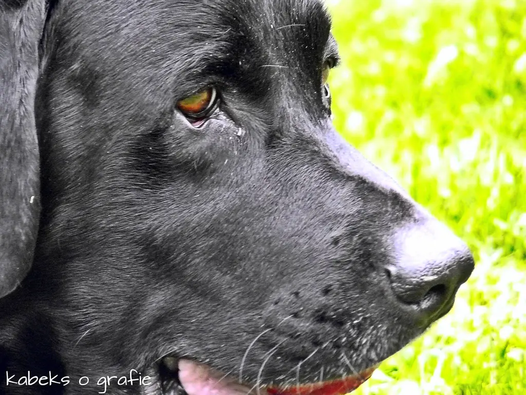 Andachtsbild von Thomas, Katja und Aeneas tief im Herzen