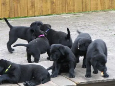 Andachtsbild von Thomas, Katja und Aeneas tief im Herzen