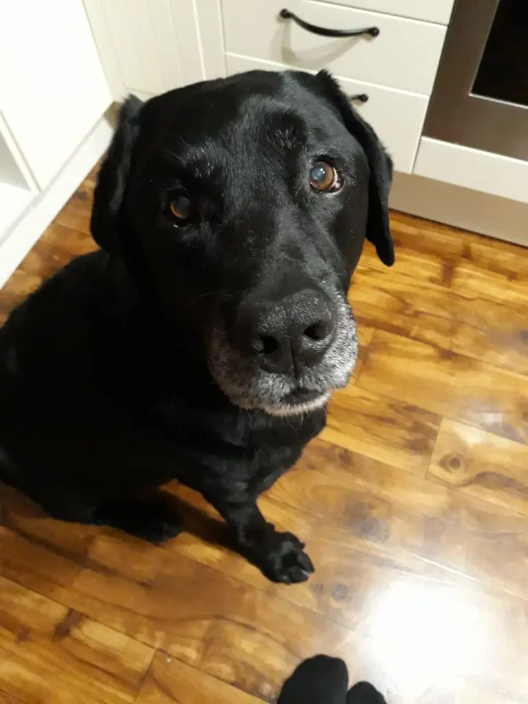 Andachtsbild von Thomas, Katja und Aeneas tief im Herzen