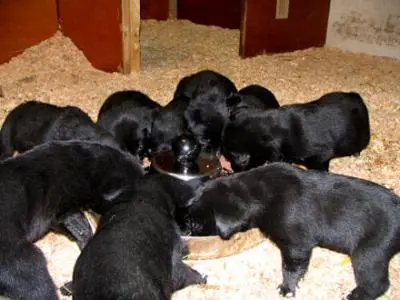 Andachtsbild von Thomas, Katja und Aeneas tief im Herzen