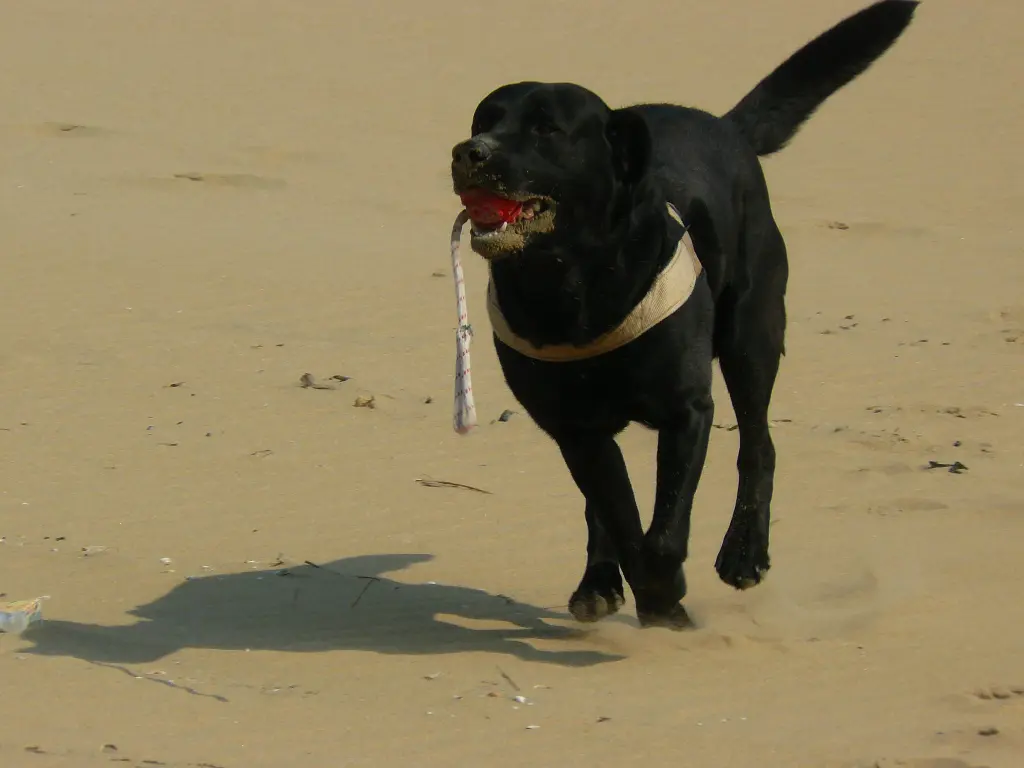 Andachtsbild von Thomas, Katja und Aeneas tief im Herzen