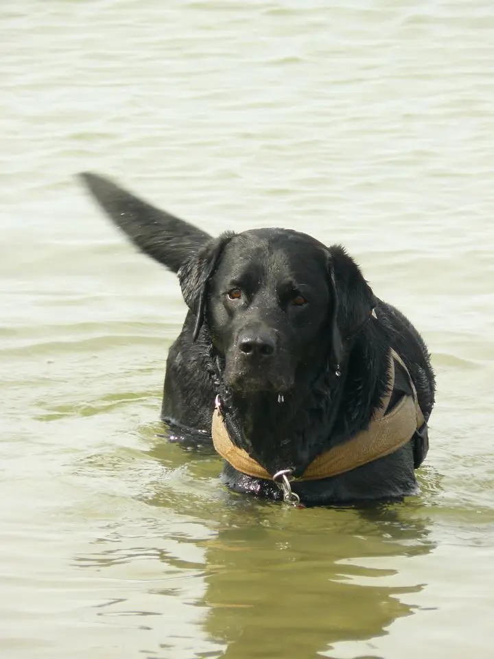 Andachtsbild von  Thomas, Katja und Aeneas tief im Herzen