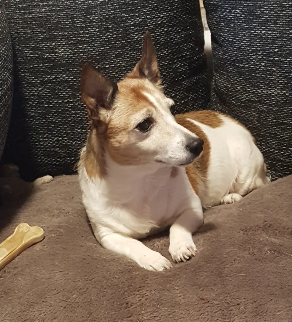 Andachtsbild von Didi mit Safira im Herzen