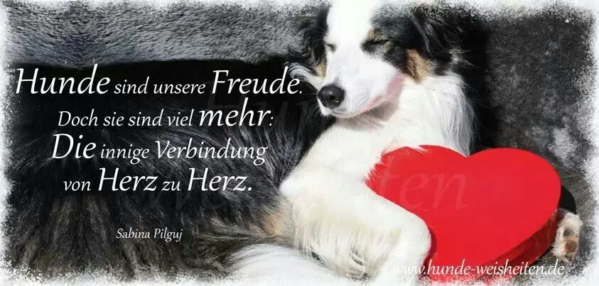 Andachtsbild von Michael