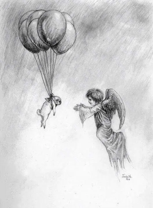 Condolence image of Antje und Bella Kayser