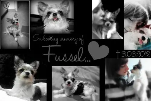 Image from Fussel
