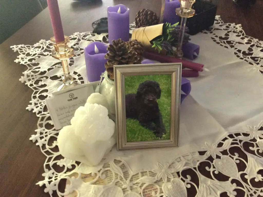 Condolence image of Heidi 