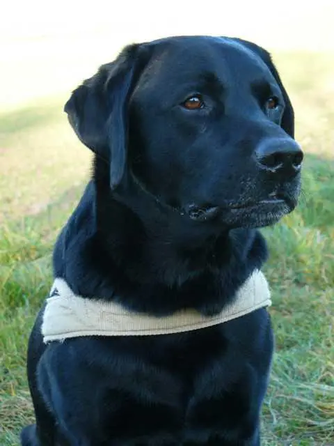 Andachtsbild von Thomas