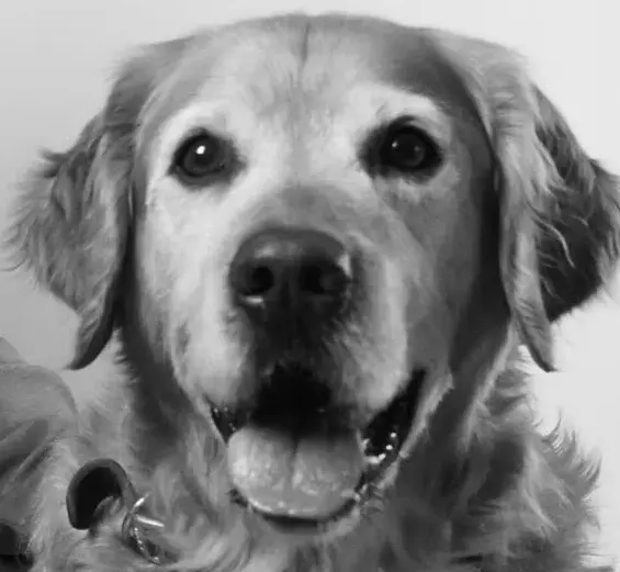 Andachtsbild von Micha mit Cäsar im Herzen