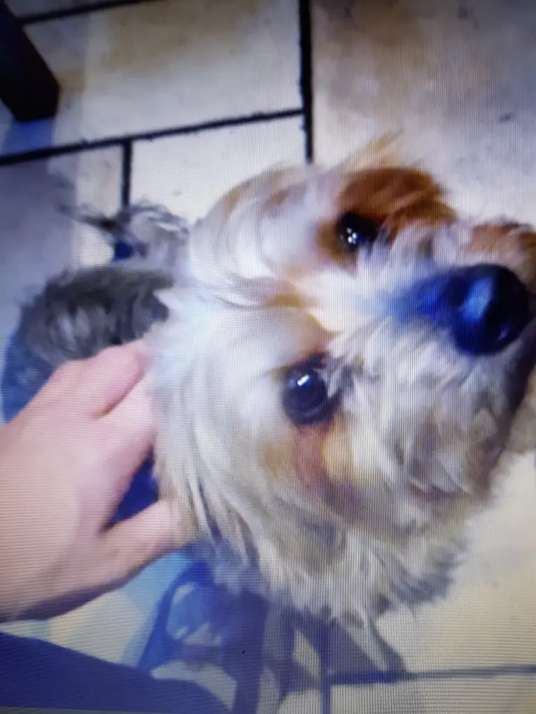 Andachtsbild von Rena Arends