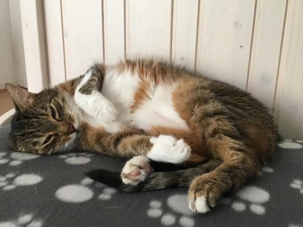 Andachtsbild von Steffi mit Lea im Herzen