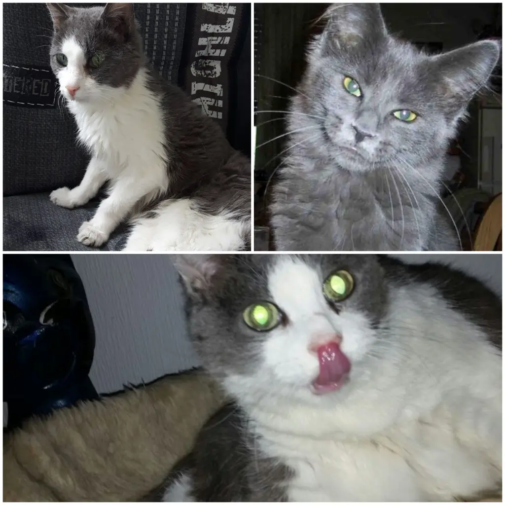 Andachtsbild von Susanne Hagedorn