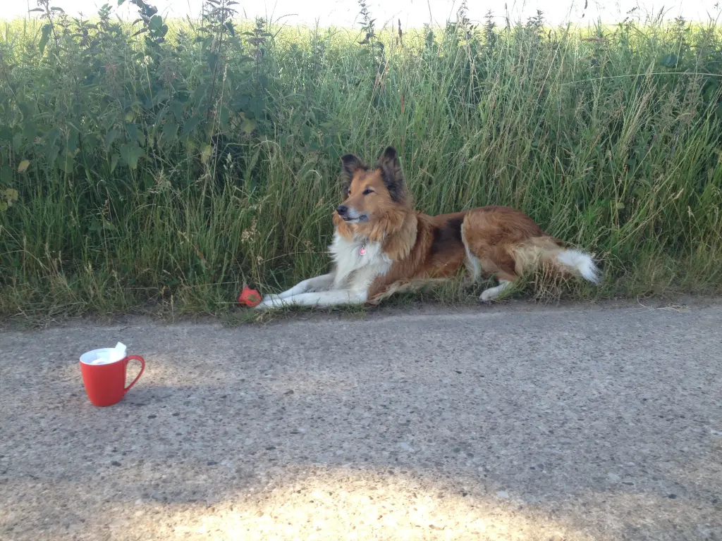 Andachtsbild von Katharina mit Merle im Herzen