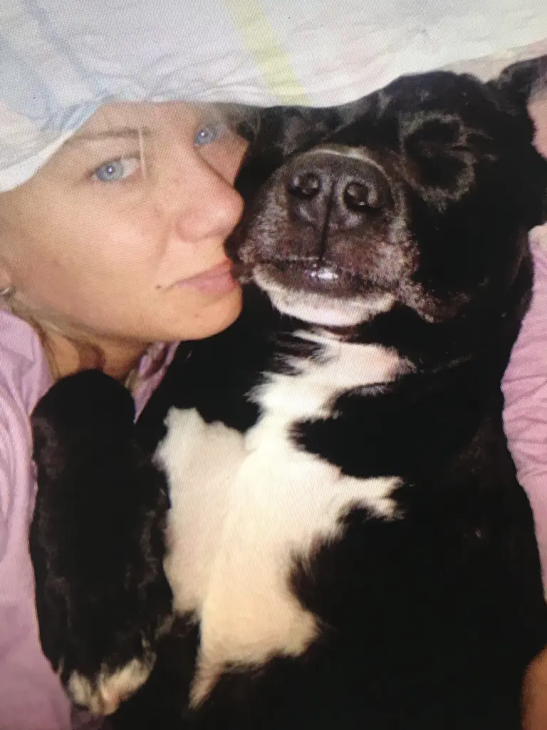 Image from Gismo