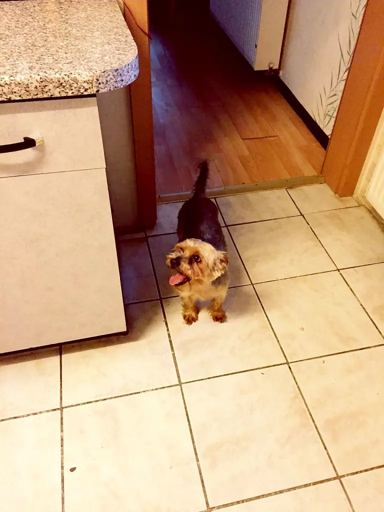 Andachtsbild von Rena Arends