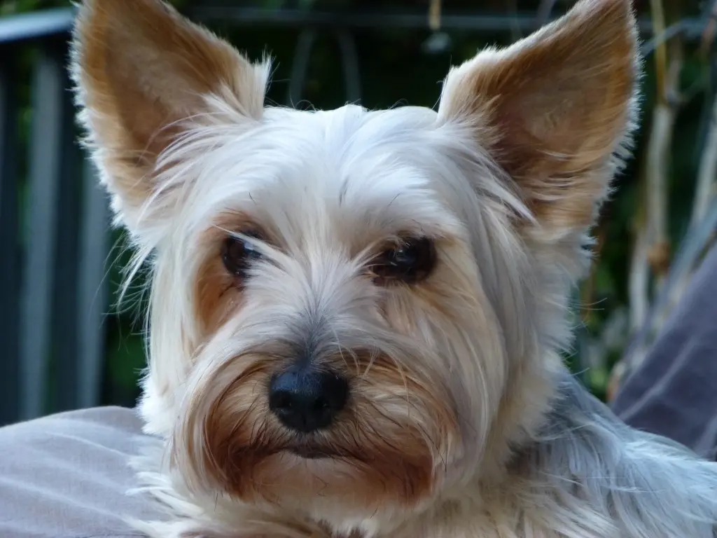 Condolence image of Kai Zemlin-Fischer