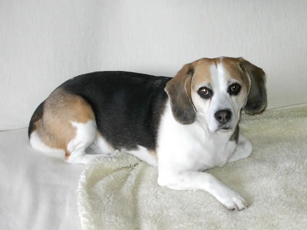 Condolence image of Rainer
