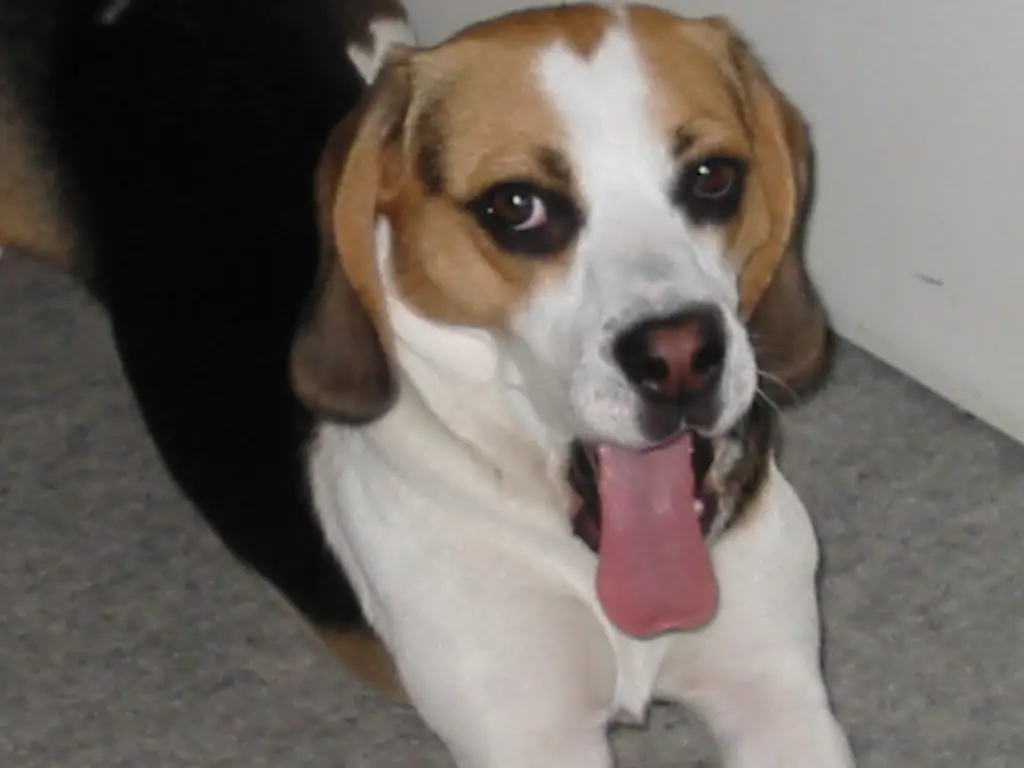Condolence image of Rainer