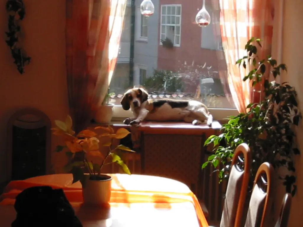 Condolence image of Rainer