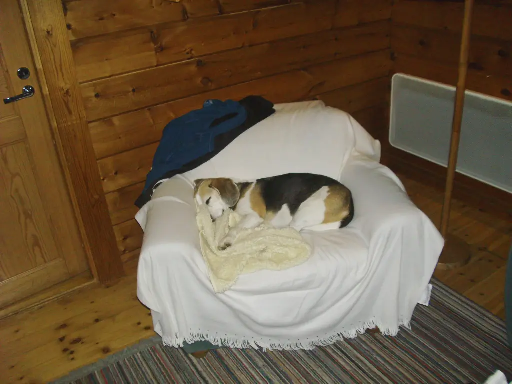 Condolence image of Unbekannt